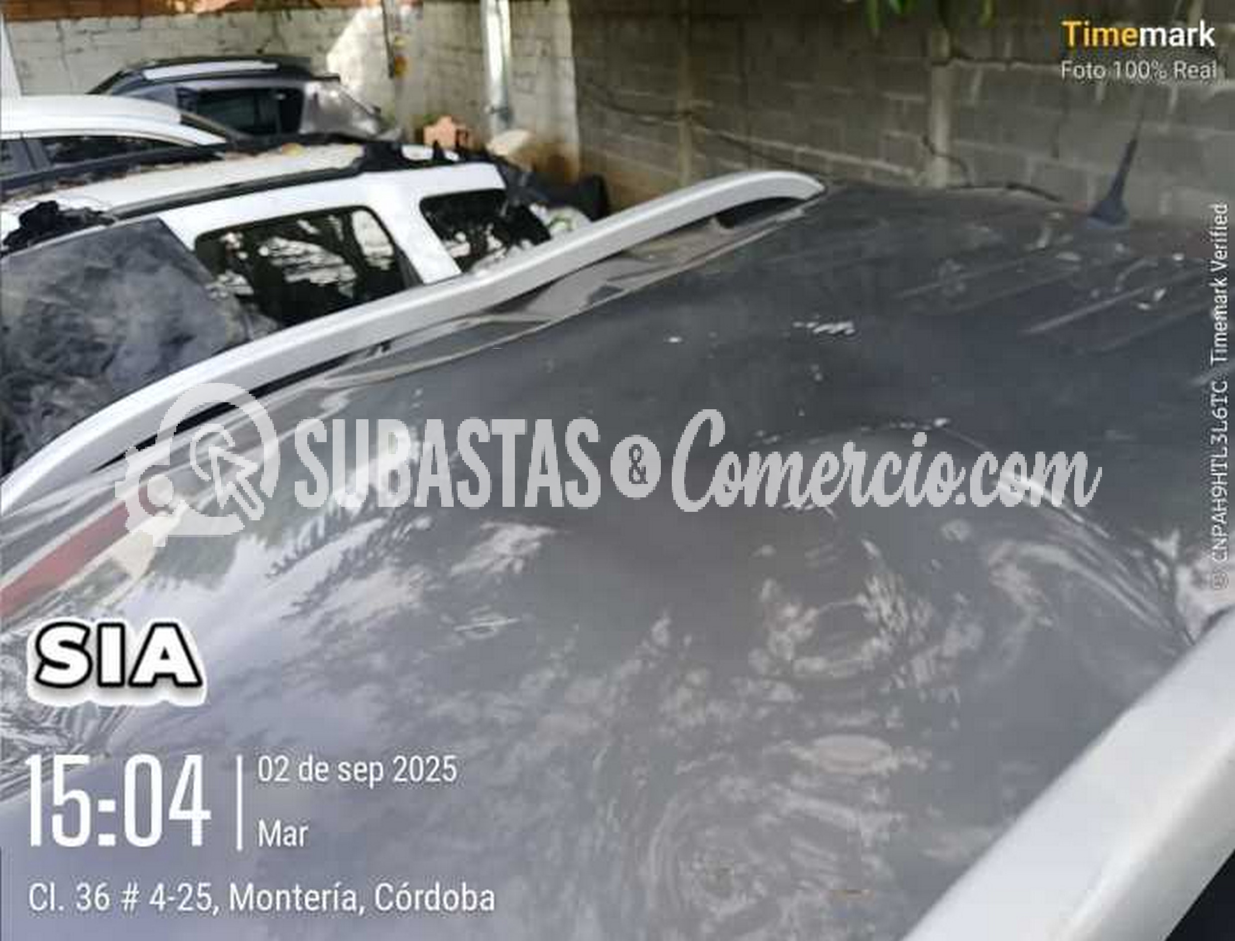 Imagen de WhatsApp 2025-09-02 a las 15.07.57_5a486198.jpg